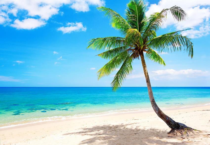 Jambo Diani 1-Bedroom Apartment Close To The Beach ディアニ・ビーチ エクステリア 写真